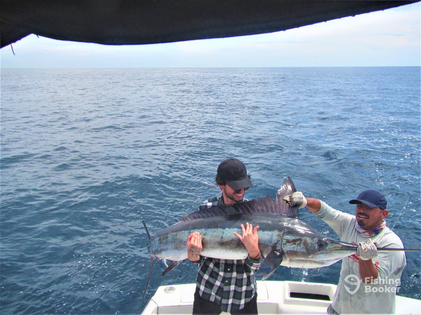 Cabo San Lucas Report Photo 0
