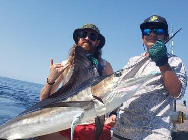 Time to go sailfish fishing!!?