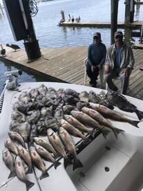 Venice Report Photo 2