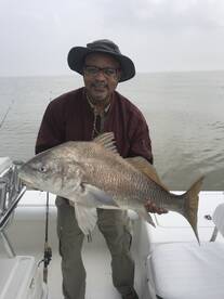 Venice Report Photo 1