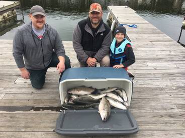 Pottsboro Report Photo 1