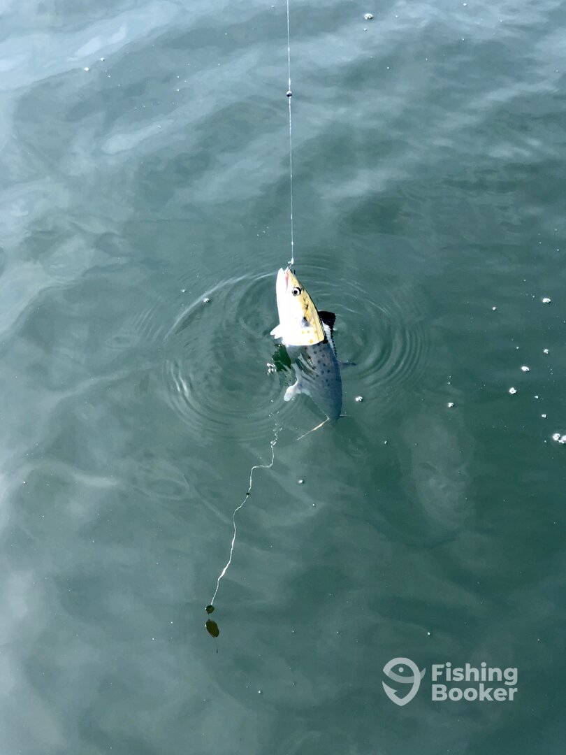 Destin Report Photo 0