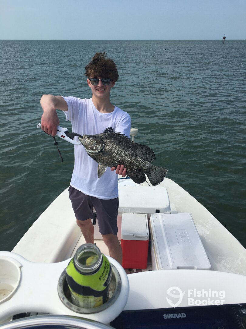 Crystal River Report Photo 0
