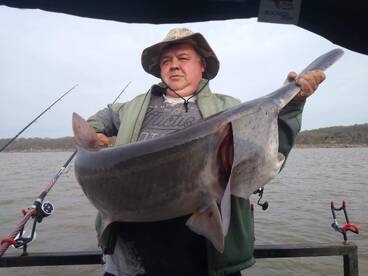 Spring Paddlefish has been really good! 