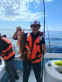 Ensenada Report Photo 1