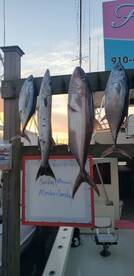 Carolina Beach Report Photo 2
