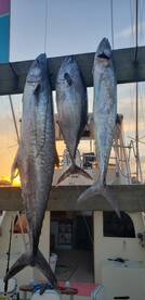 Carolina Beach Report Photo 1