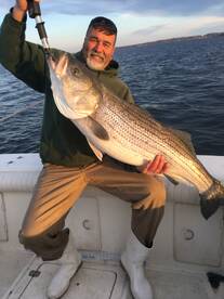 Huge Stripers !!