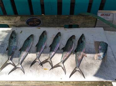 Murrells Inlet Report Photo 2