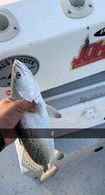 Spring fishing in full swing !!