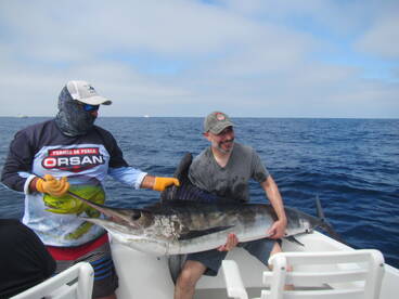 Cabo San Lucas Report Photo 2