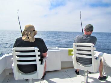 Cabo San Lucas Report Photo 1