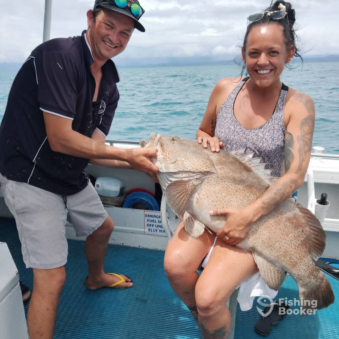 Port Douglas Report Photo 0