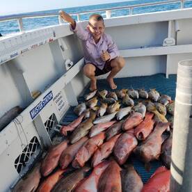 Port Douglas Report Photo 2