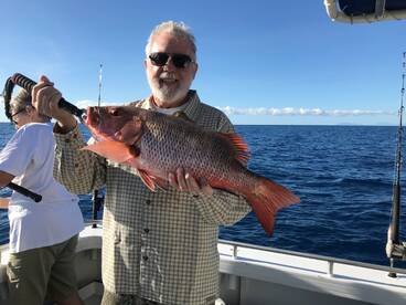 Port Douglas Report Photo 1