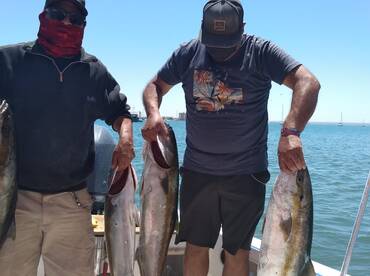 La Paz Report Photo 2