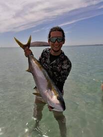 keep up the action with the yellow tail