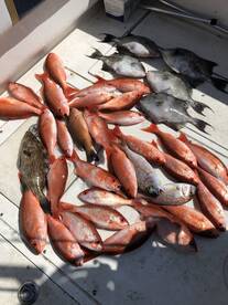 The fishing has been great book your tri