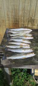 Panama City Report Photo 2