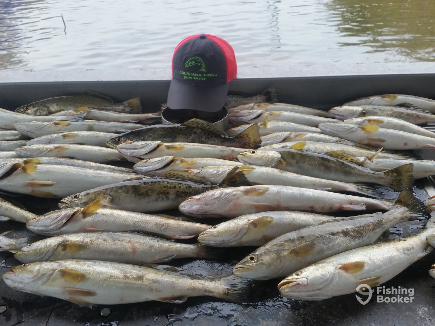 Lake Charles Report Photo 0