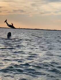 Port Isabel Report Photo 2