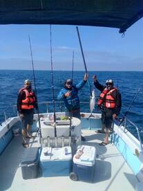 Ensenada Report Photo 1