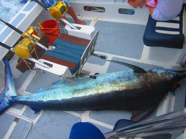 Le Morne Report Photo 2