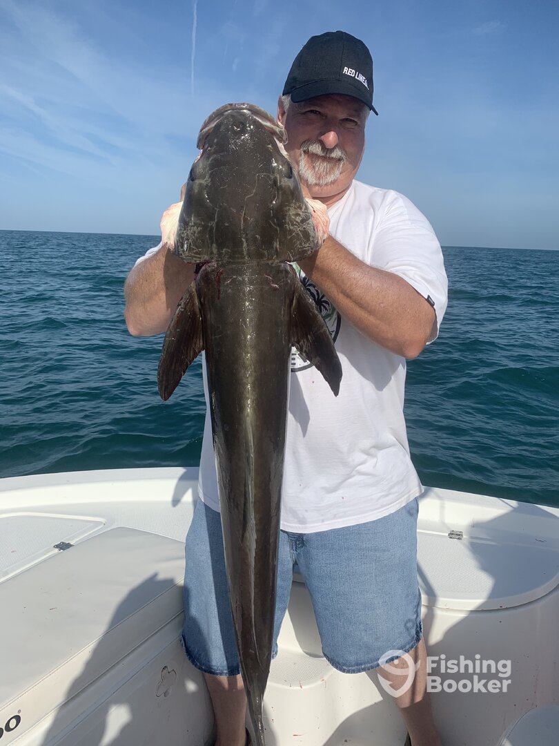 Sarasota Report Photo 0