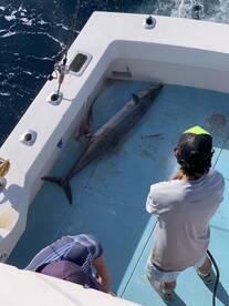 Boynton Beach Report Photo 2