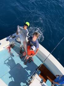 Boynton Beach Report Photo 1