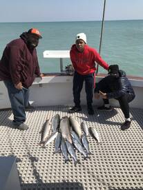 Kenosha Report Photo 1