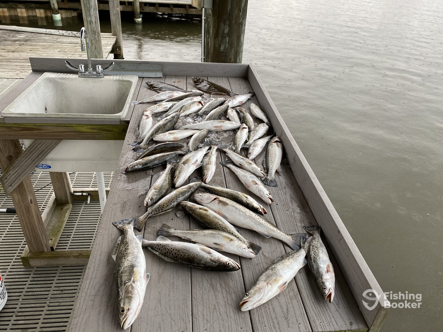 New Orleans Report Photo 0