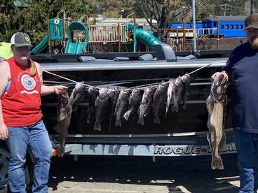 Garibaldi Report Photo 1