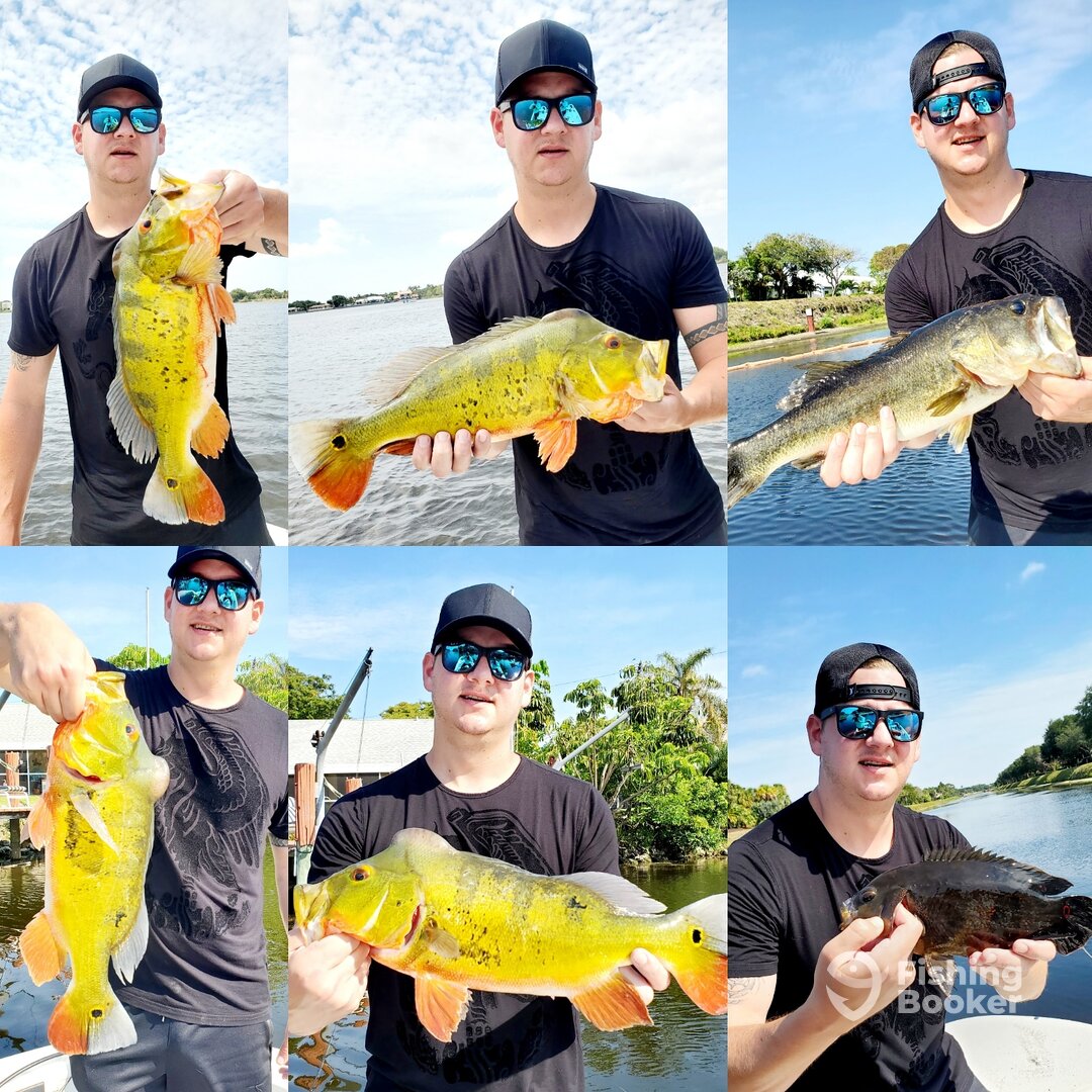 Delray Beach Report Photo 0
