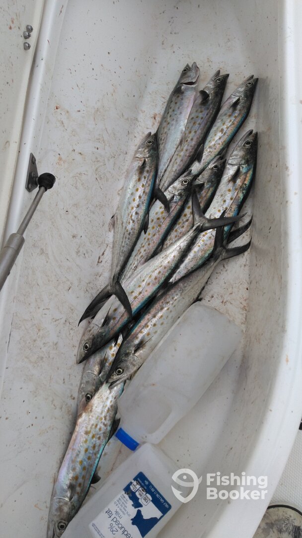 Murrells Inlet Report Photo 0