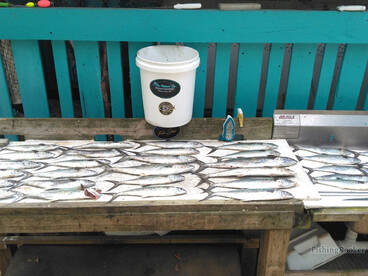 Murrells Inlet Report Photo 1