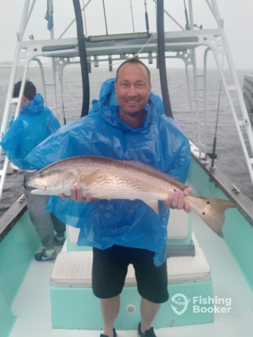 Destin Report Photo 0