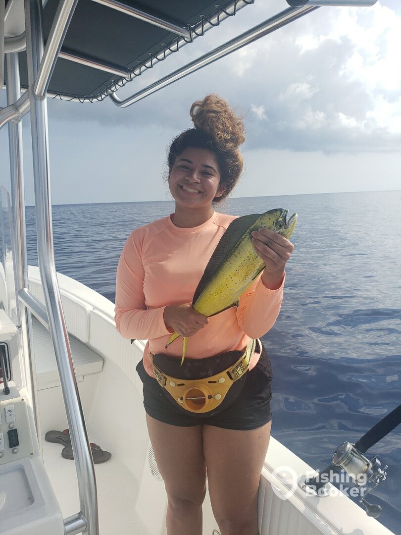 Miami Report Photo 0