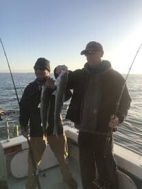 San Francisco Report Photo 1