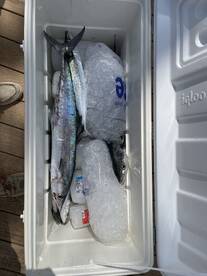 Redington Shores Report Photo 1