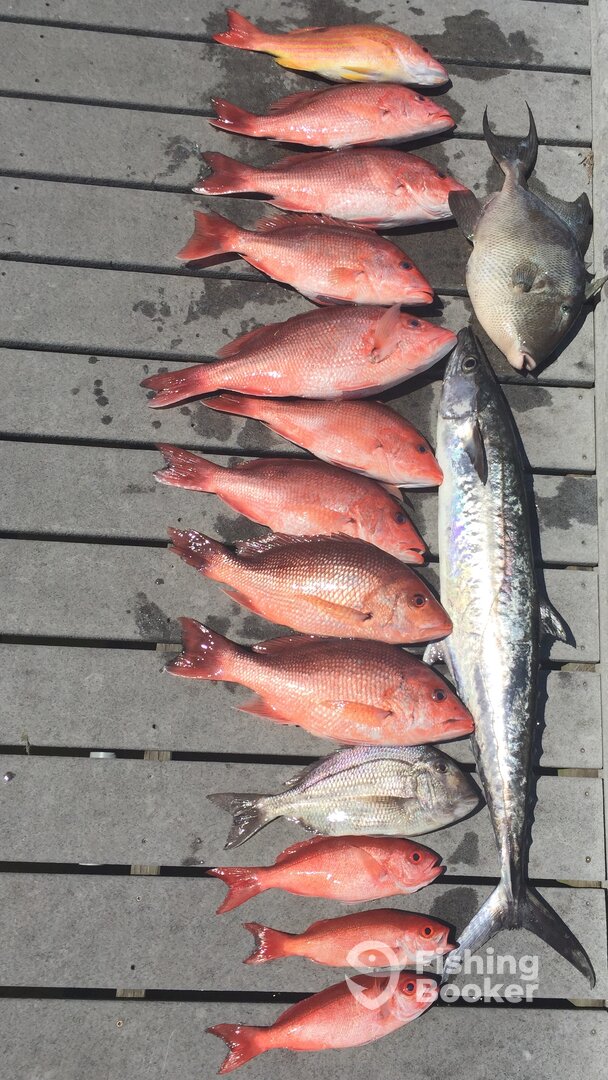 Pensacola Report Photo 0