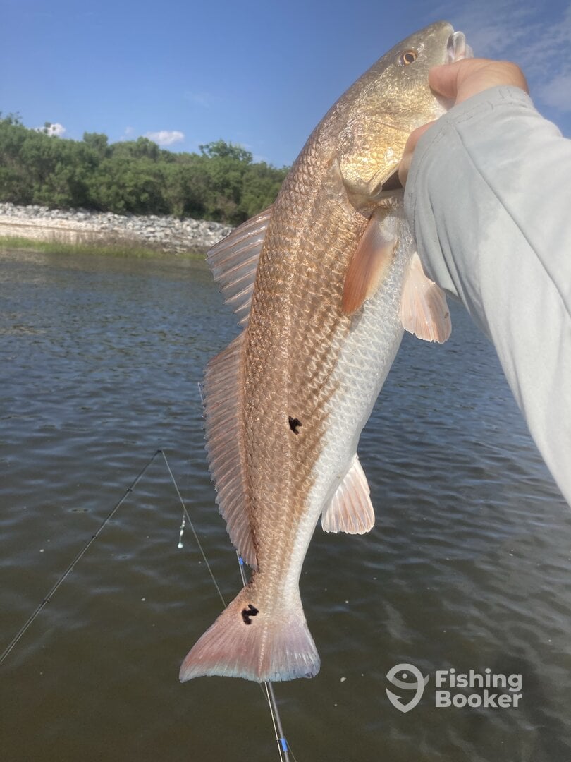 Jekyll Island Report Photo 0