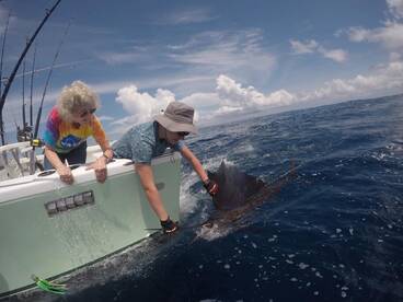 Quepos Report Photo 1