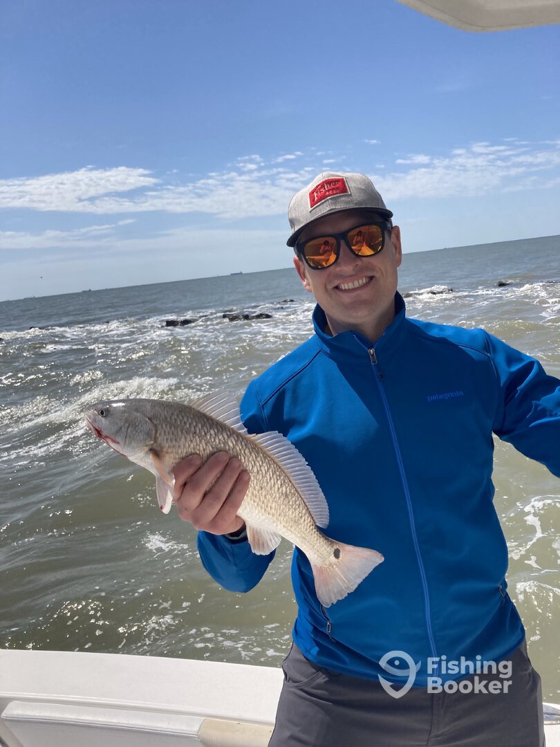 Galveston Report Photo 0