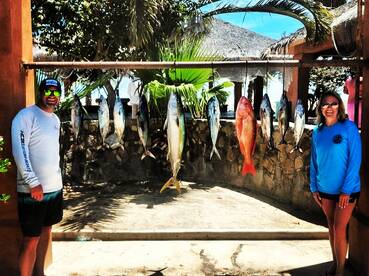 San Jose del Cabo Report Photo 2