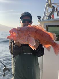 Huntington Beach Report Photo 1