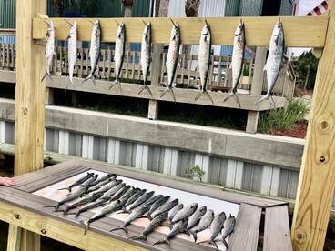 Living Right Fishing Charters