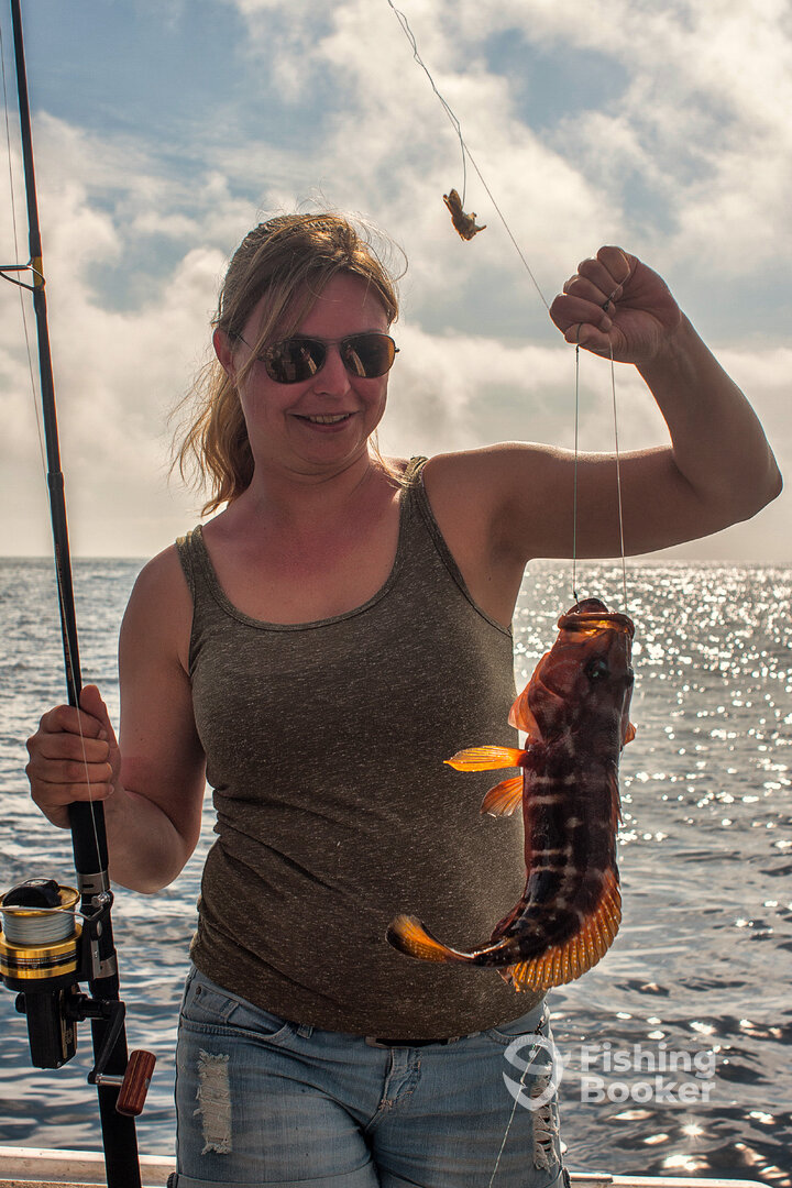 Ponta Delgada Report Photo 0