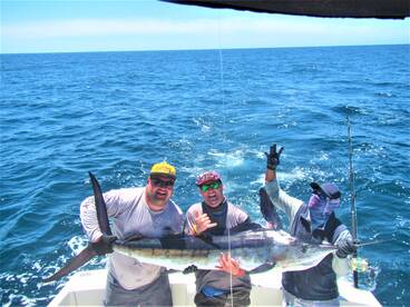 Cabo San Lucas Report Photo 2