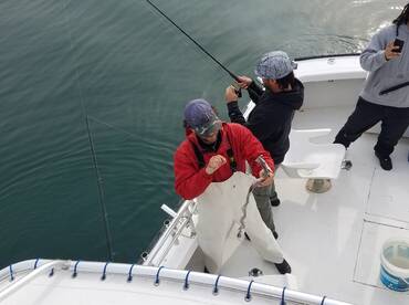 Nags Head Report Photo 1